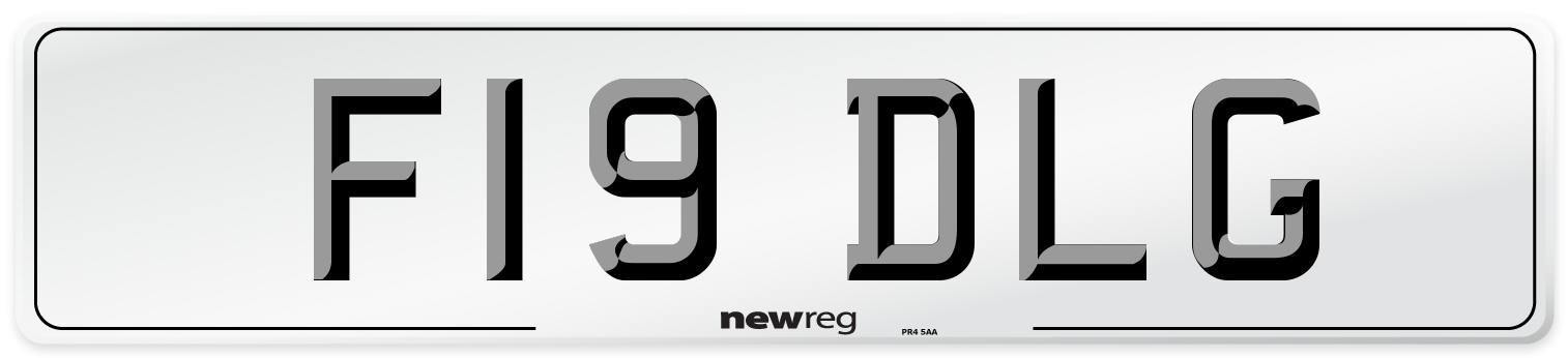 F19 DLG Number Plate from New Reg